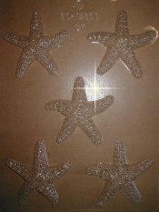Detailed Fine Starfish, Plastic Mold - 