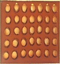 Jellybean Silicone Mold - 