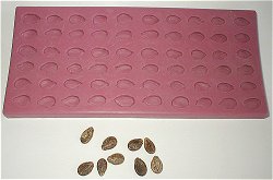 Watermelon Seeds Silicone Flexible Mold - 