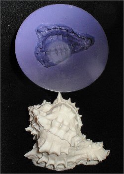 Murex Seashell Silicone Mold - 