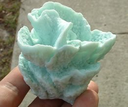 Fan Coral Silicone Mold - 