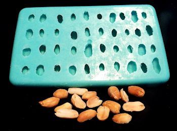 Peanuts Silicone Mold - 