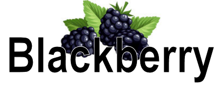Blackberry Label, 110ct. - 