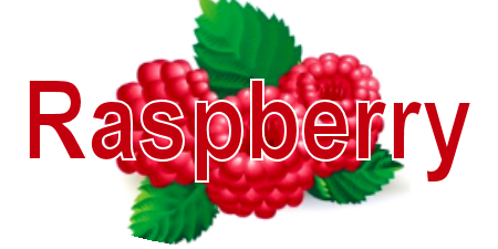 Raspberry Label, 110ct. - 